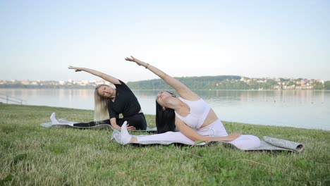 two beautiful fitness girlfriends in sportswear are doing yoga in the park two beautiful fitness girlfriends in sportswear are doing yoga in the park