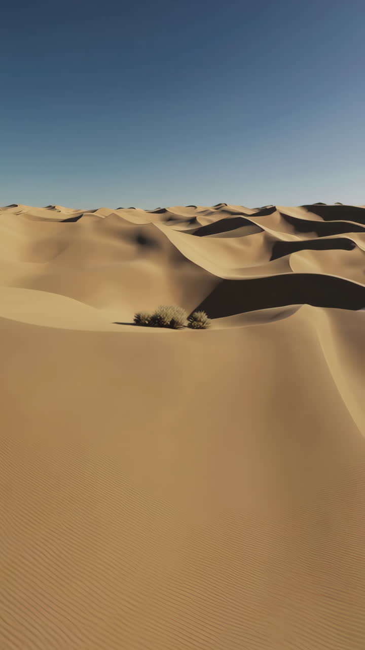 Vast Desert Landscape with Rolling Sand Dunes Under a Clear Blue Sky