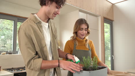 couple planting herbs together in kitchen, enjoying gardening at home