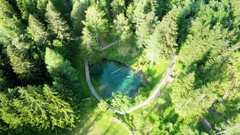 aerial view of a small blue lake in the middle of the forest at sunset