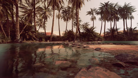 Colorful-scene-with-a-palm-tree-over-a-small-pond-in-a-desert-oasis