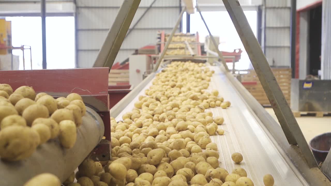 Potato factory in slow motion.