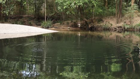 a serene pond with a concrete path