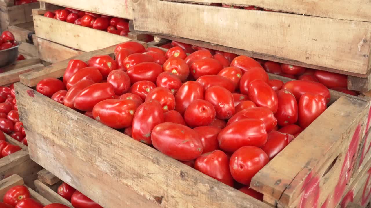 Boxes of tomatoes in latin market