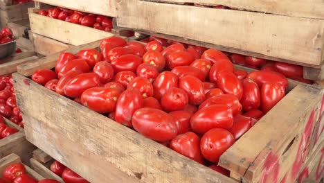 boxes of tomatoes in latin market