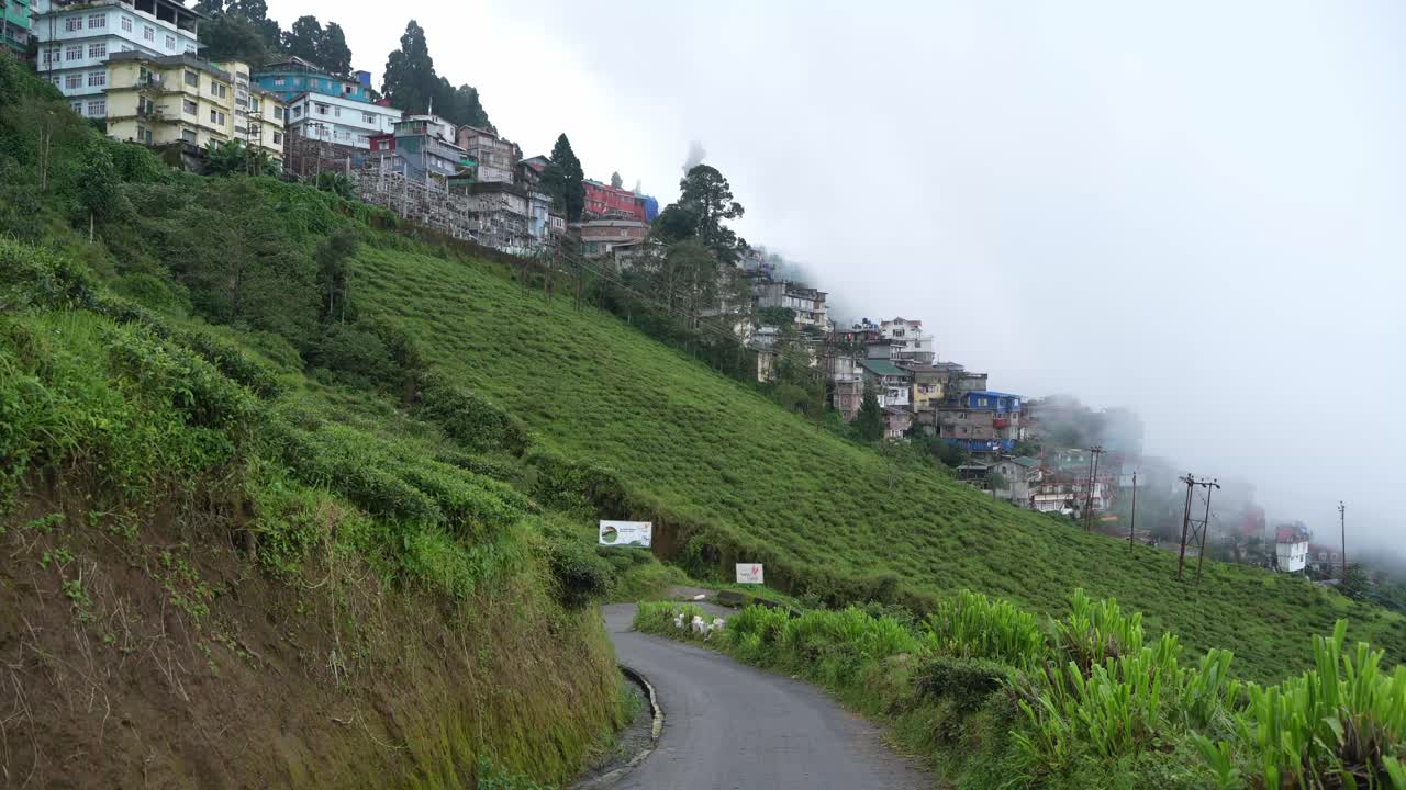 Giardini di tè, paesaggi e diversità geo-naturale nei dintorni di Darjeeling
