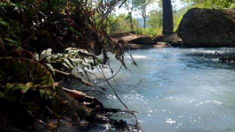 Fast-flowing-sulphur-water-stream-with-dragon-flies-in-a-remote-forest-of-tropical-island-Timor-Leste,-Southeast-Asia