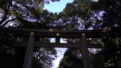 walk looking up at torii gate at meiji shrine entrance