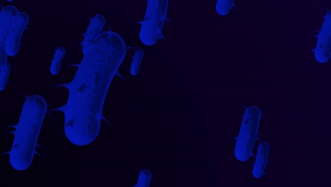4k bacterias microscópicas antecedentes médicos - bucle, bacteria bucleable - flotación de bacterias e. coli - bacteria - animación en 3d de bacrerium. espirilla - bacteria de primer plano - color azul marino