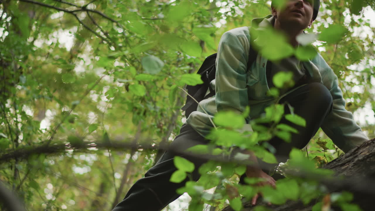 Caucasian explorer balancing on high branch carefully testing footholds with measured movements and backpack, quiet midday light filtering through dense leaves, contemplative scout surveying canopy