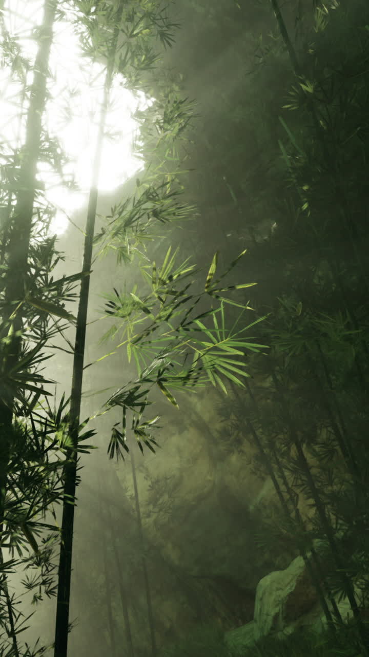 La luce del sole filtra attraverso bambù imponenti in una scena di foresta mistica.