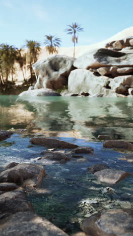 desert oasis landscape