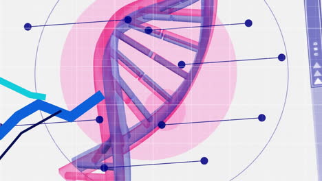 animación de flechas y estadísticas sobre la cadena de adn en la cuadrícula