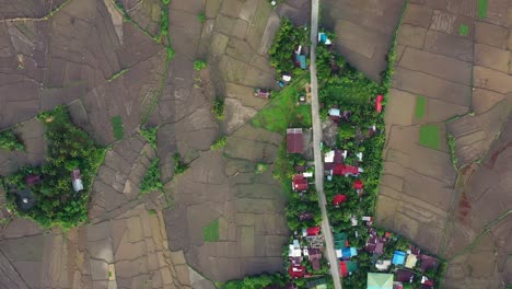 Vertical-Of-Vast-Cultivated-Paddy-Fields-At-Barangay-Catmon-In-Saint-Bernard,-Southern-Leyte,-Philippines