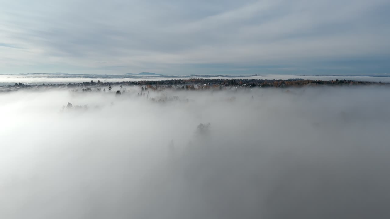 Nuvole nebbiose avvolgono Langley nelle prime ore del mattino nella Columbia Britannica, Canada. Scatto aereo con drone