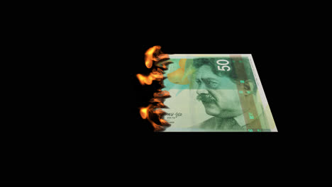 burning 50 israeli shekel note