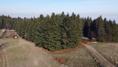 Luftaufnahmen-Von-Der-Spitze-Des-Nadelwaldes-Bis-Zur-Wunderschönen-Bergkette-Und-Dem-Nebligen-Tal