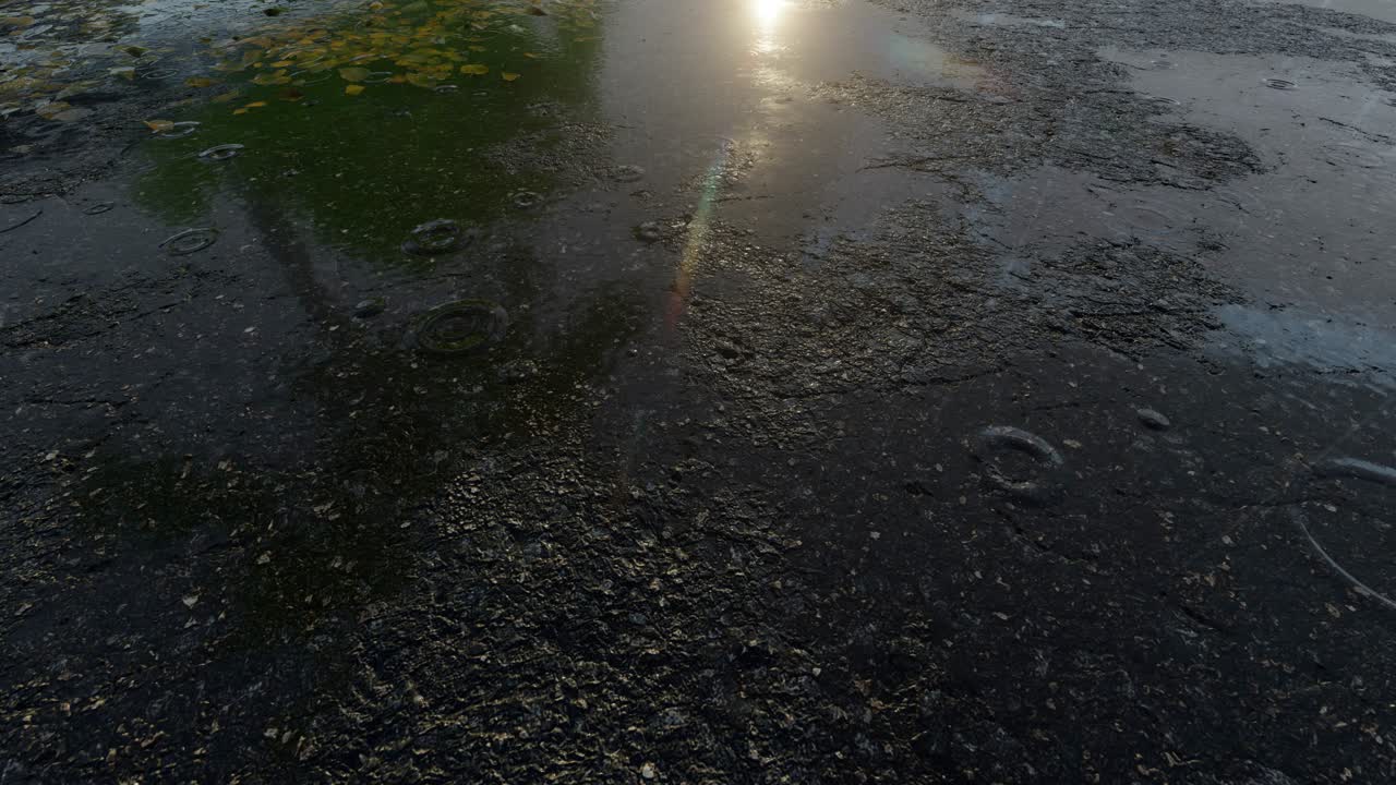Wet Asphalt After Rain