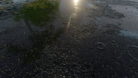 wet asphalt after rain