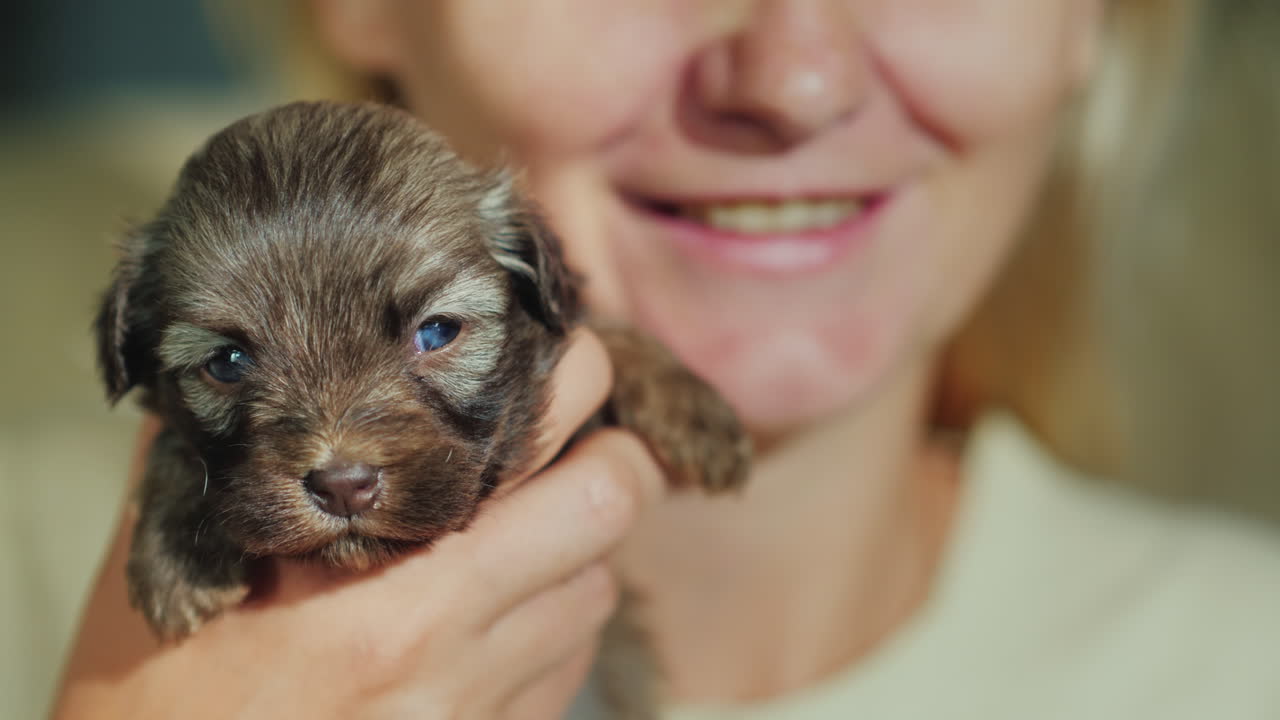 mujer feliz sosteniendo un cachorrito en sus brazos