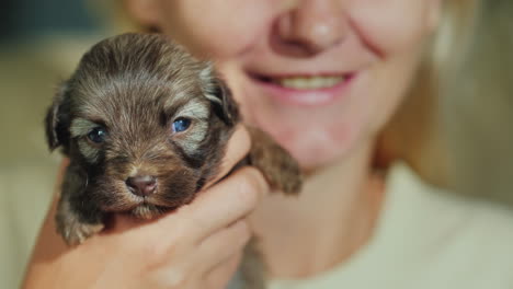 happy woman holding a little puppy in her arms