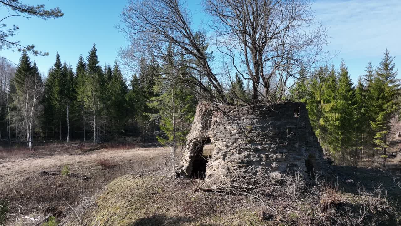 руины старой ветряной мельницы с деревьями, растущими внутри в деревне самма в эстонии.