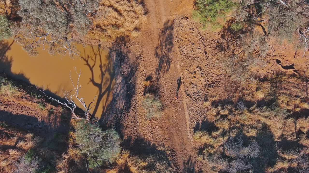 An athlete running and training for an outback marathon in the Australian desert, with dry orange dusty dirt track and a brown dirty watering hole in view