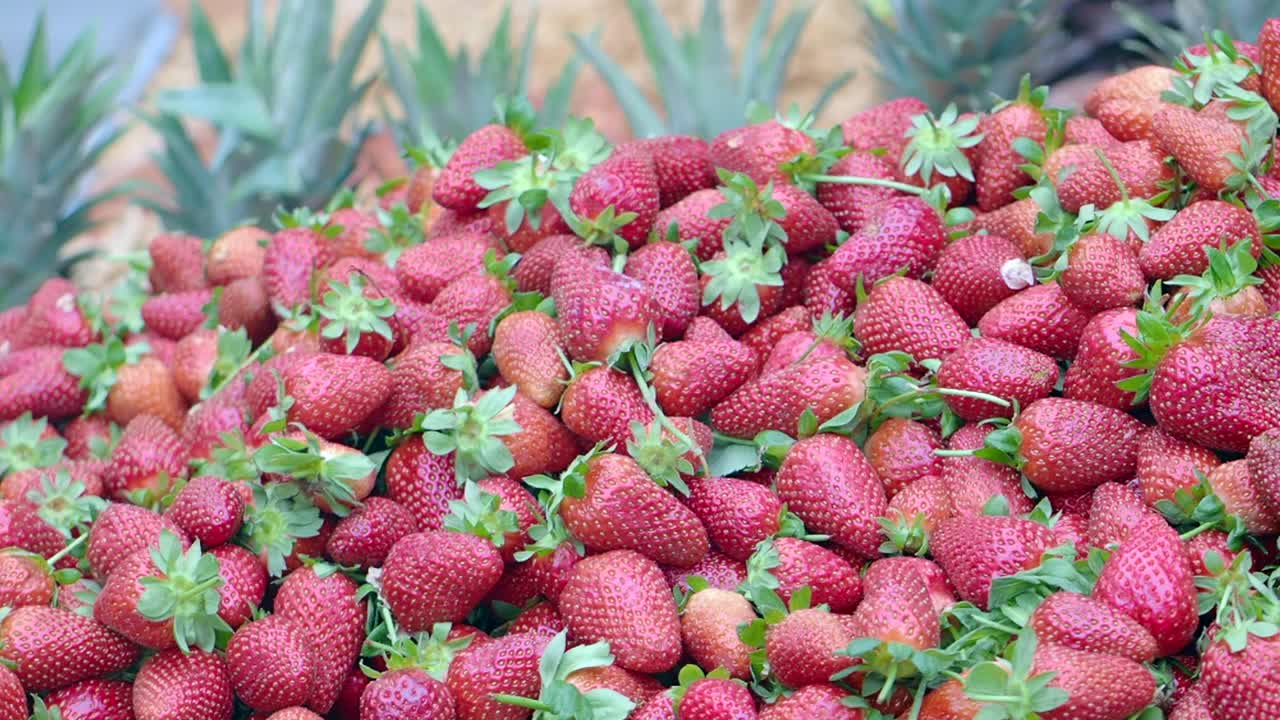 Pile of fresh strawberries with pineapple tops in the background