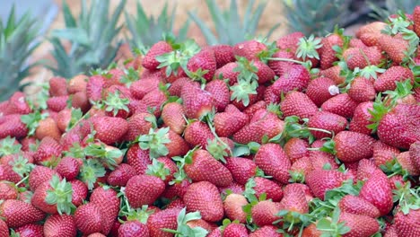 pile of fresh strawberries with pineapple tops in the background