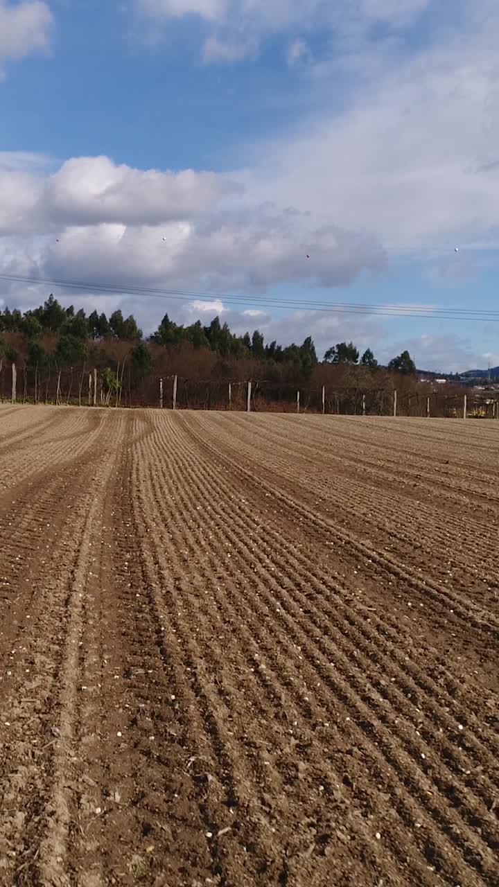 vídeo vertical agrícola y del suelo