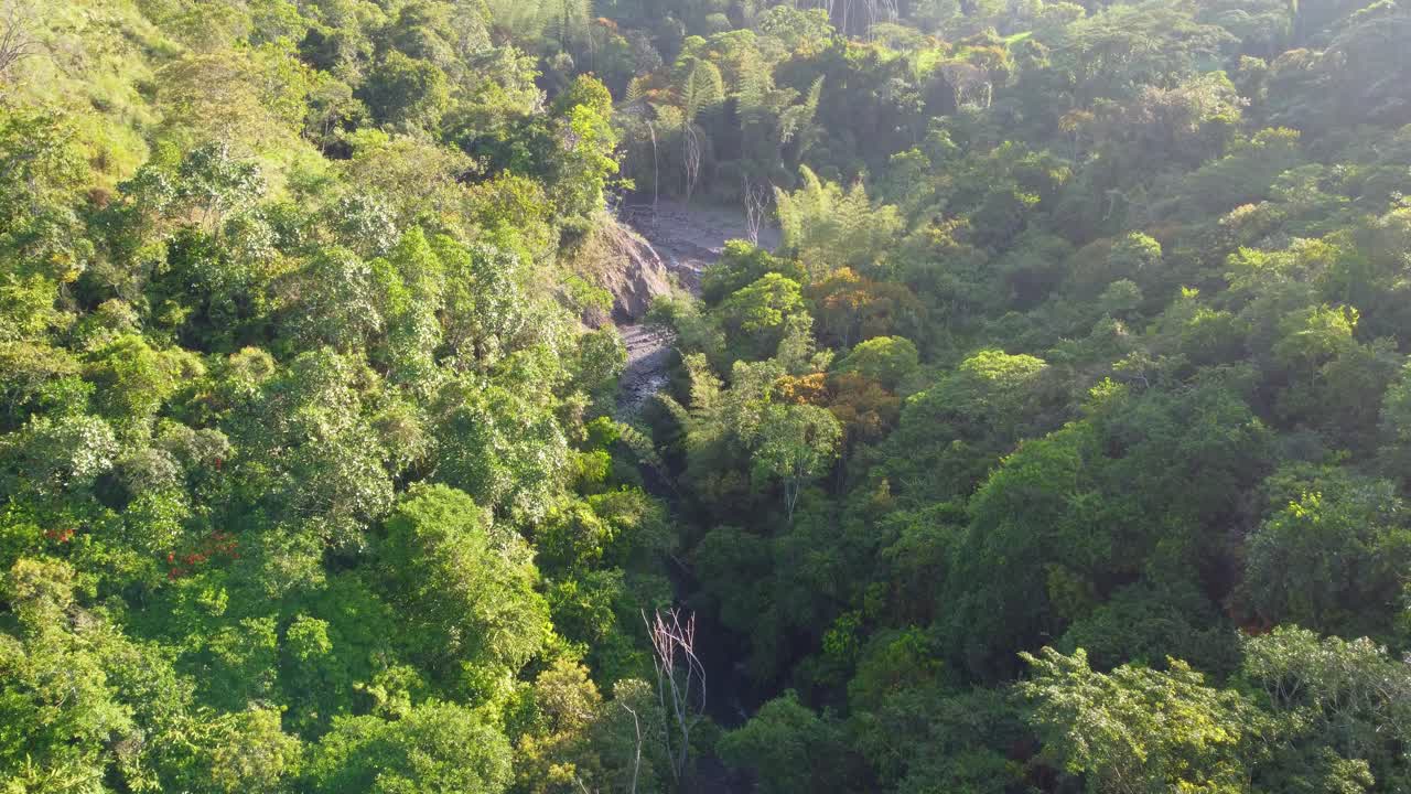 fotografía aérea de un frondoso dosel de bosque verde con una cascada oculta, la luz del sol salpicando a través de las hojas