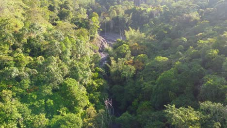 aerial shot of a lush green forest canopy with a hidden waterfall, sunlight dappling through the leaves