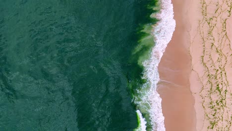 Ein-Strand-Mit-Einer-Welle,-Die-Ans-Ufer-Strömt,-Und-Ein-Sandstrand-Mit-Einem-Grünen-Ozean-Und-Einem-Sandstrand