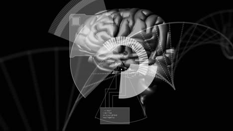 animación de procesamiento de datos sobre cadena de adn y cerebro humano en fondo oscuro