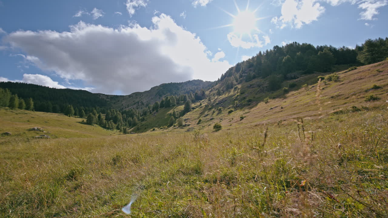 Giornata di sole in montagna con campi aperti e vegetazione lussureggiante.