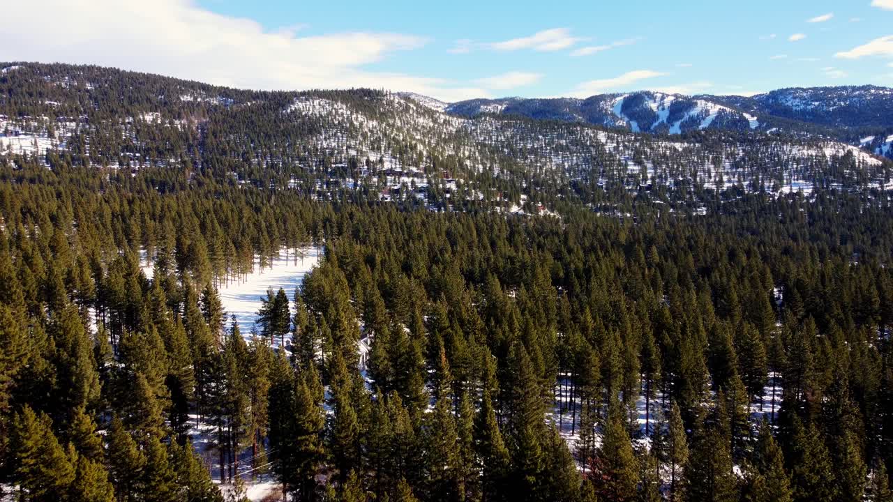 toma aérea de drones, volando sobre el bosque hacia las montañas en el lago tahoe, nevada-california