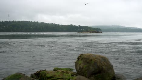 Wasser-Fließt-Bei-Umgekehrten-Wasserfällen-In-Zeitlupe,-Moosige-Felsbrocken-Im-Vordergrund