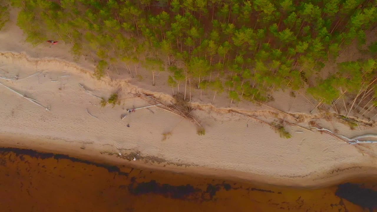 발트해 연안의 조감도, 모래 해변의 푸른 숲, 피에주라, 라트비아