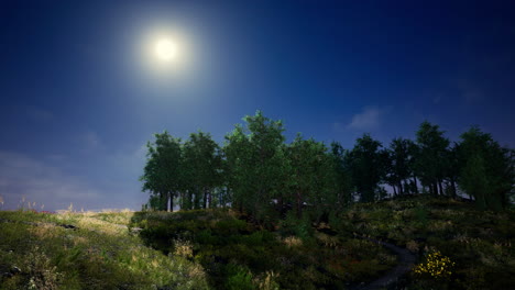 summer landscape in mountains and the dark blue sky