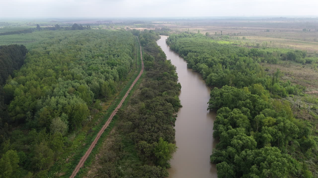 Slyngende flod snor sig gennem tæt vådområde og skov i Parana Deltaet, Argentina