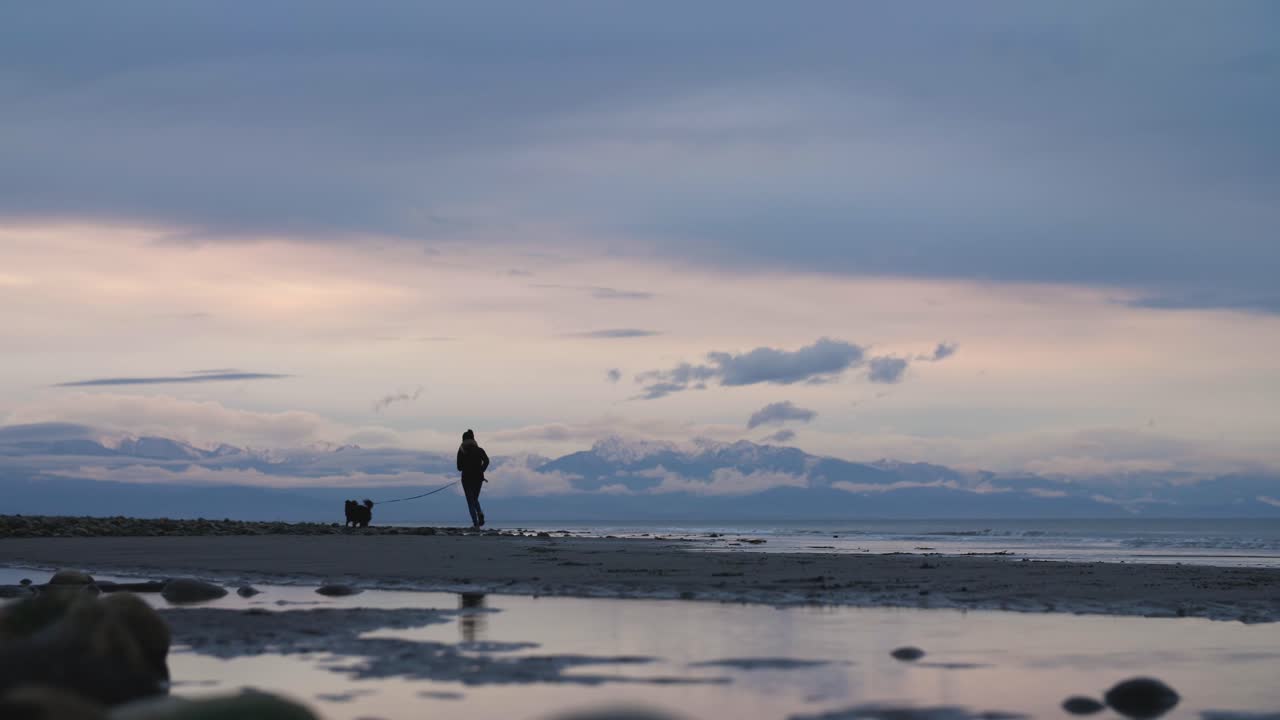 해질녘 해변에서 개와 함께 달리는 여자