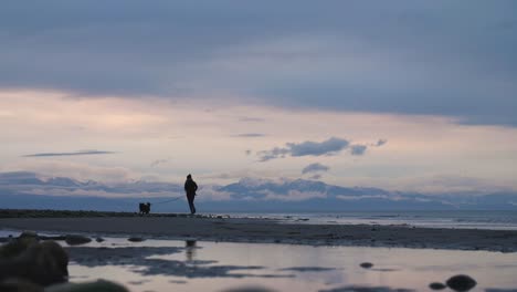 Mujer-Corriendo-Con-Su-Perro-En-La-Playa-Al-Atardecer