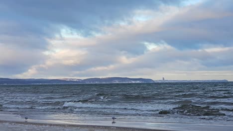 Golfo-De-Gdansk,-Algunas-Gaviotas,-Olas,-Nubes-Y-Acantilados