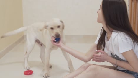 pretty female brunette in white t-shirt lying on the floor in her room along with her dog