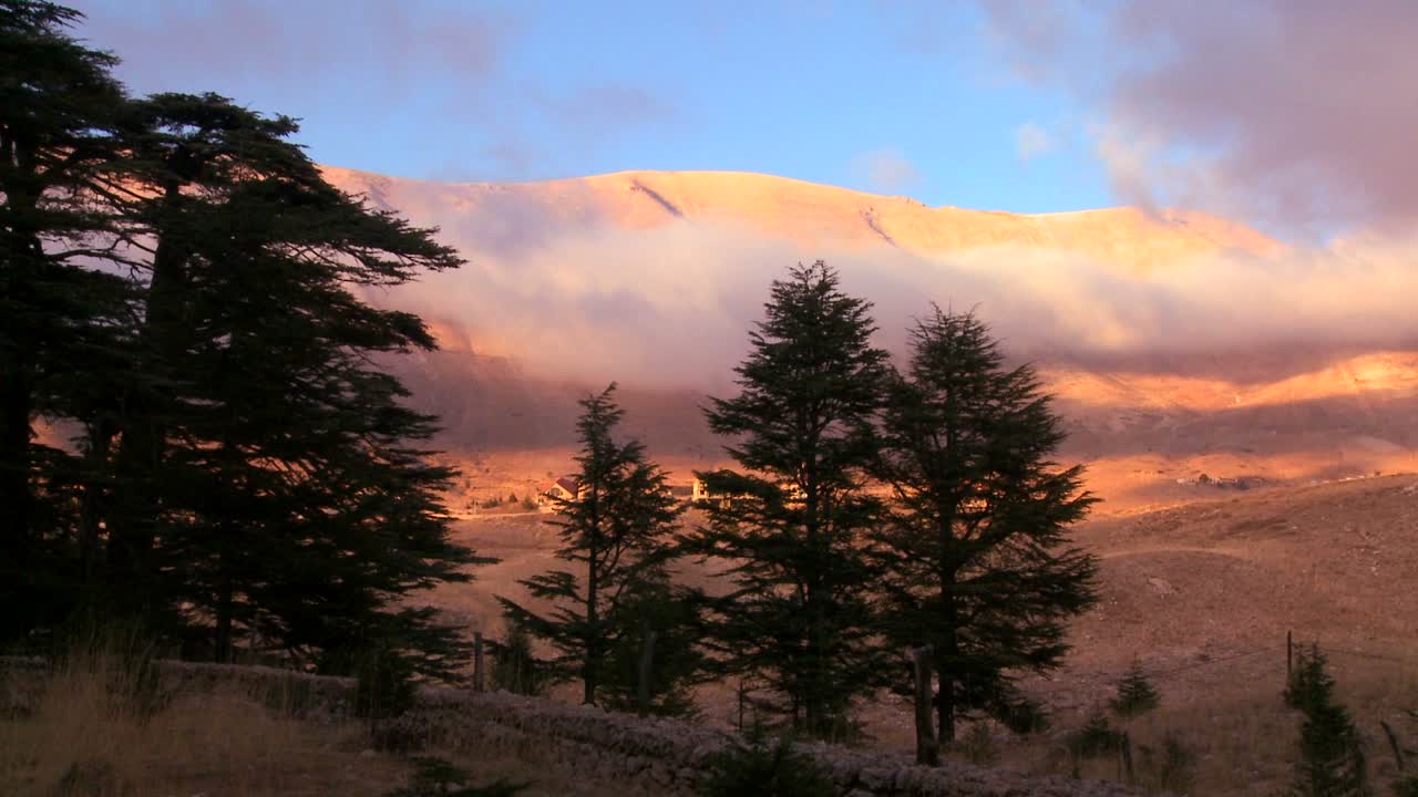 las nubes se mueven a través de las montañas con cedros en primer plano en el líbano