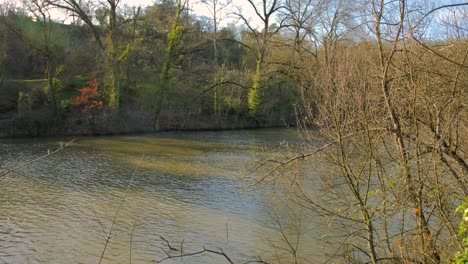 saint nicolas park with idyllic lake on a sunny winter day in angers, france