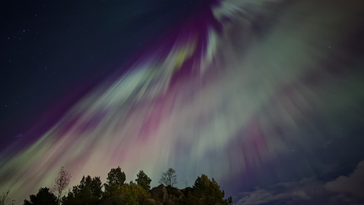 Stunning Aurora Borealis Display over Trees