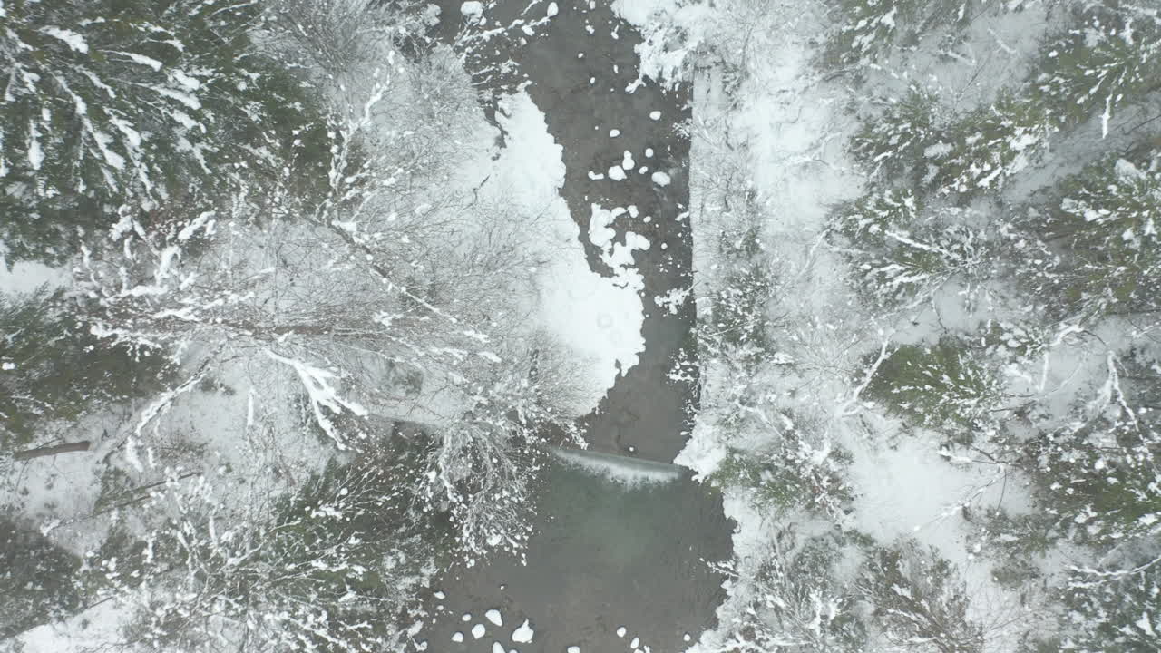 숲을 가로지르는 작은 개울의 하향식 공중 - 드론 들어올리기 및 회전