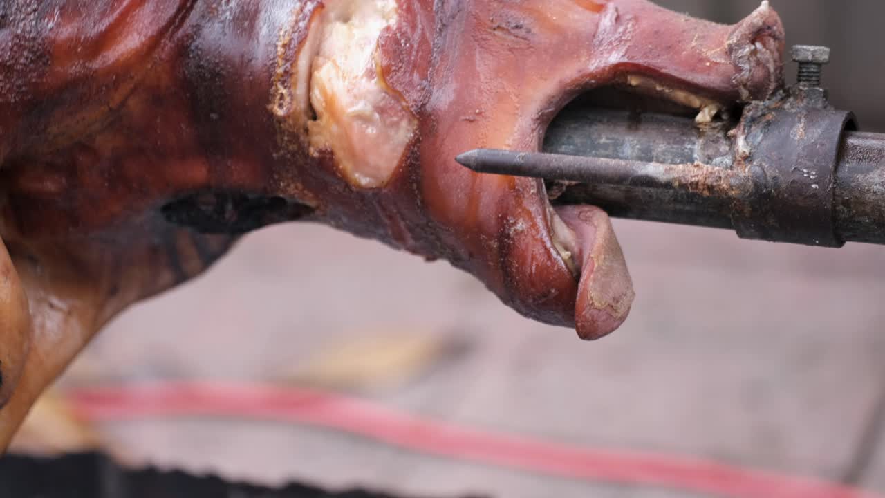 Close up of pig's head rotating over wood fire
