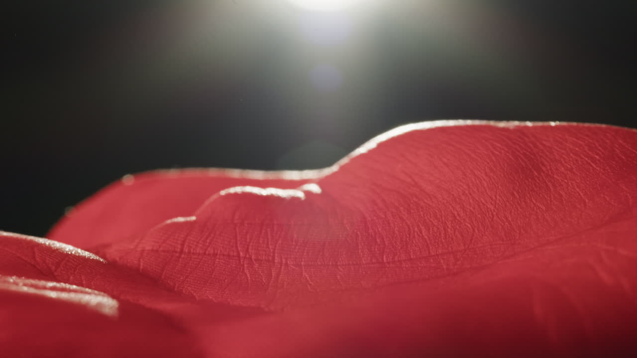 Close-up view of red fabric texture